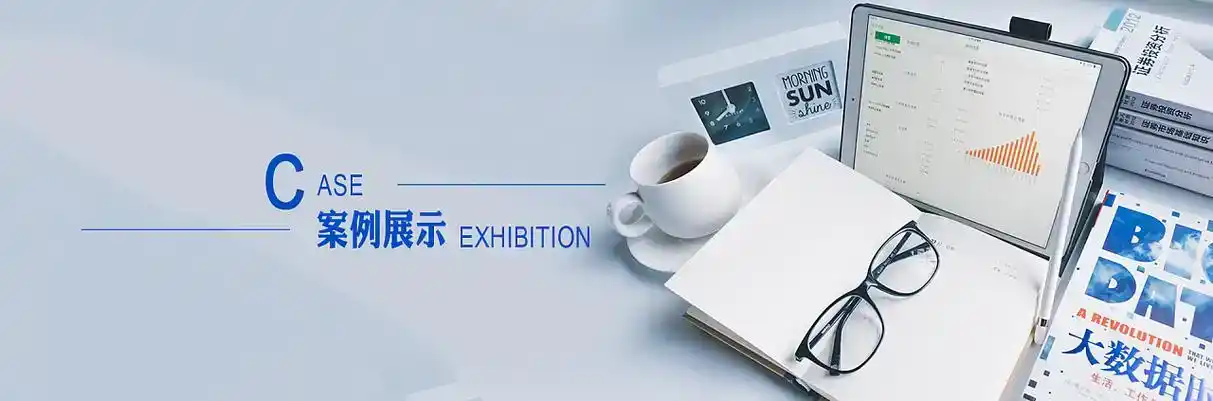 莎车县软件开发